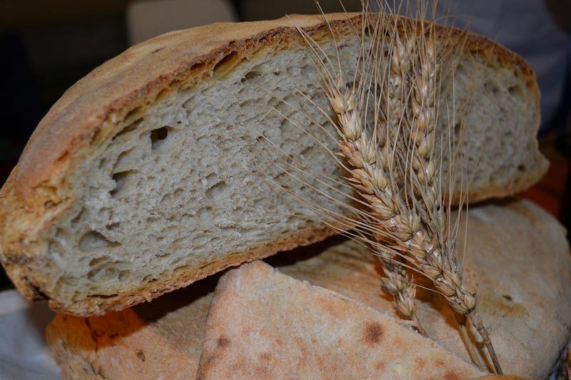 Pane e olio, una combinazione tanto semplice quanto squisita! Proprio parlando di pane, sapete cosa è il grano di solina? Ecco a voi anche una ricetta per provare a fare questo tipo di pane!